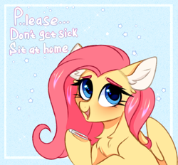 Size: 2316x2150 | Tagged: safe, artist:pesty_skillengton, imported from derpibooru, fluttershy, oc, pegasus, pony, chest fluff, cute, cutie, female, mare, shyabetes, solo