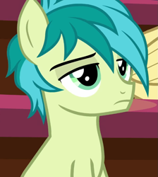 Size: 687x768 | Tagged: safe, imported from derpibooru, screencap, huckleberry, sandbar, earth pony, pegasus, pony, a matter of principals, cropped, friendship student, male, sandbar is not amused, unamused