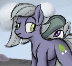 Size: 1296x1198 | Tagged: safe, artist:ahorseofcourse, limestone pie, marble pie, earth pony, pony, duo, female, looking at each other, mare, siblings, sisters