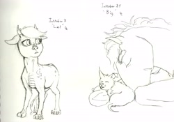 Size: 6608x4616 | Tagged: safe, artist:lady-limule, imported from derpibooru, oc, oc only, dog, dracony, dragon, earth pony, hybrid, pony, earth pony oc, grayscale, inktober 2016, lineart, monochrome, traditional art