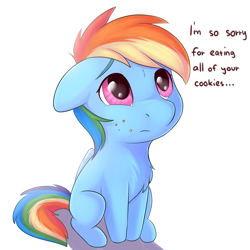 Size: 2250x2250 | Tagged: safe, artist:dbleki, imported from derpibooru, rainbow dash, pegasus, pony, apology, blatant lies, chest fluff, cookie thief, crumbs, cute, daaaaaaaaaaaw, dashabetes, dialogue, female, floppy ears, high res, looking up, mare, puppy dog eyes, sad, sadorable, simple background, solo, sweet dreams fuel, this will end in colic, weapons-grade cute, white background