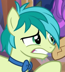 Size: 649x711 | Tagged: safe, imported from derpibooru, screencap, sandbar, yona, earth pony, pony, yak, she's all yak, bowtie, colt, concerned, cropped, gritted teeth, male, raised hoof, solo focus, teenager