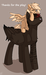 Size: 352x563 | Tagged: safe, artist:tigra0118, imported from derpibooru, oc, oc only, oc:mirta whoowlms, pegasus, pony, digital art, eyes closed, female, happy, male, mare, my little pony, pixel art, present, stallion, standing