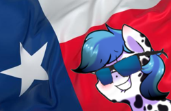 Size: 484x313 | Tagged: artist needed, safe, imported from derpibooru, oc, oc only, pony, flag, solo, spots, stars, sunglasses, texas flag