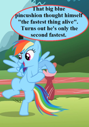 Size: 504x720 | Tagged: safe, edit, edited screencap, imported from derpibooru, screencap, rainbow dash, may the best pet win, bashing, bipedal, cropped, cute, dashabetes, grammar error, implied sonic the hedgehog, solo, sonic the hedgehog (series), speech, standing, standing on one leg, talking