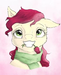 Size: 1024x1249 | Tagged: safe, artist:rachelmacready, imported from derpibooru, roseluck, earth pony, pony, bust, clothes, flower, flower in mouth, mixed media, mouth hold, rose, rose in mouth, scarf, simple background, solo