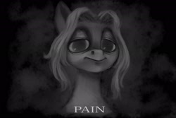 Size: 2048x1365 | Tagged: safe, artist:violettacamak, imported from derpibooru, oc, oc:absinthe hyacinthum, earth pony, pony, looking at you, monochrome, solo, text