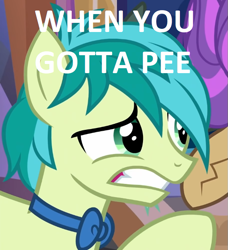 Size: 649x711 | Tagged: safe, edit, edited screencap, imported from derpibooru, screencap, sandbar, yona, earth pony, pony, yak, she's all yak, baby talk, bowtie, colt, concerned, cropped, desperation, gritted teeth, male, op wants attention, raised hoof, solo focus, urine