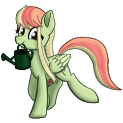 Size: 2000x2000 | Tagged: safe, artist:memeancholy, imported from derpibooru, oc, oc:gray lily, pegasus, simple background, solo, transparent background, watering can
