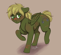 Size: 2088x1899 | Tagged: safe, artist:inyah, imported from derpibooru, oc, oc only, oc:murky, pegasus, pony, fallout equestria, fallout equestria: murky number seven, fanfic art, male, scar, simple background, solo, stallion