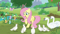 Size: 1920x1080 | Tagged: safe, imported from derpibooru, screencap, fluttershy, bird, butterfly, dove, hummingbird, pegasus, swan, the last problem, sweet feather sanctuary, tree