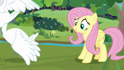 Size: 1920x1080 | Tagged: safe, imported from derpibooru, screencap, fluttershy, bird, pegasus, swan, the last problem, sweet feather sanctuary, tree