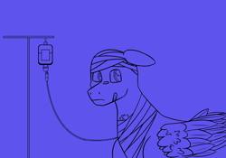 Size: 1800x1260 | Tagged: safe, artist:circumflexs, imported from derpibooru, oc, oc only, pegasus, pony, bald, bandage, bandaid, bands, blue background, ear down, floppy ears, folded wings, iv drip, male, monochrome, offscreen character, one ear down, simple background, solo, stallion, weak, wings, wip