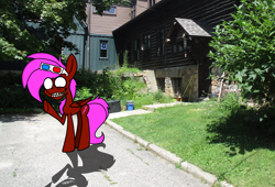 Size: 3832x2600 | Tagged: safe, artist:rainbowbacon, imported from derpibooru, oc, oc:rainbowbacon, pegasus, pony, gorillaz, gorillaz style, irl, photo, ponies in real life, solo