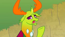 Size: 1280x720 | Tagged: safe, imported from derpibooru, screencap, thorax, changedling, changeling, triple threat, king thorax, male, reaction image, solo