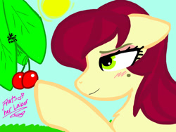 Size: 2048x1536 | Tagged: safe, artist:artmama113, imported from derpibooru, cheery, cherry jubilee, earth pony, pony, bust, cherry, female, food, mare, signature, smiling, sun