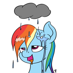 Size: 1080x1080 | Tagged: safe, artist:mkogwheel, imported from derpibooru, imported from ponybooru, rainbow dash, fish, pegasus, pony, acid rain, brainlet, bust, dented dash, drool, lowres, portrait, rain