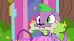 Size: 1920x1080 | Tagged: safe, imported from derpibooru, screencap, spike, spike the regular dog, dog, equestria girls, equestria girls series, the road less scheduled, spoiler:eqg series (season 2), bone, dogs doing dog things, mouth hold, solo