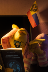 Size: 3084x4585 | Tagged: safe, imported from derpibooru, fluttershy, pegasus, pony, book, clothes, cyrillic, flag, plushie, reading, russia, russian, socks