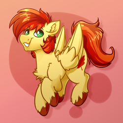 Size: 4000x4000 | Tagged: safe, artist:witchtaunter, imported from derpibooru, oc, oc only, oc:maple syrup, pegasus, pony, commission, male, solo, stallion
