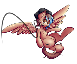 Size: 3774x3141 | Tagged: safe, artist:coco-drillo, imported from derpibooru, oc, oc:dbleki, pegasus, pony, beanie, cave town, chest fluff, clothes, commission, drawing, ear fluff, floating, flying, hat, male, simple background, solo, stallion, transparent background