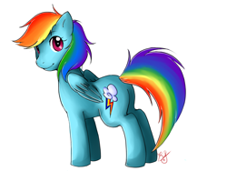 Size: 1600x1200 | Tagged: safe, artist:honeyappleninja, imported from derpibooru, rainbow dash, pegasus, pony, female, mare, simple background, solo, white background