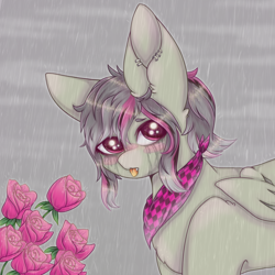 Size: 900x900 | Tagged: safe, artist:saltyvity, imported from derpibooru, oc, oc only, bat pony, pony, female, flower, looking at you, mare, rain, rose, sad, tongue out