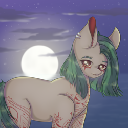 Size: 900x900 | Tagged: safe, artist:saltyvity, imported from derpibooru, oc, oc only, earth pony, pony, ear piercing, earring, female, jewelry, looking at you, mare, moon, night, piercing, solo