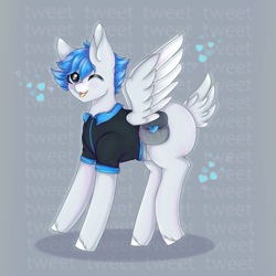 Size: 900x900 | Tagged: safe, artist:saltyvity, imported from derpibooru, oc, oc only, pegasus, pony, heart, meta, solo, twitter, wings