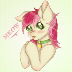 Size: 900x900 | Tagged: safe, artist:saltyvity, imported from derpibooru, roseluck, earth pony, pony, behaving like a cat, blushing, collar, female, mare, pony pet, rosepet, solo, tongue out