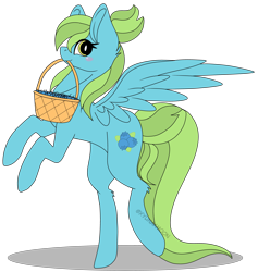 Size: 5207x5489 | Tagged: safe, artist:kireiinaa, imported from derpibooru, oc, oc only, oc:blueberry skies, pegasus, pony, absurd resolution, basket, female, mare, mouth hold, simple background, solo, transparent background