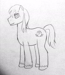Size: 1793x2048 | Tagged: dead source, safe, artist:andressuperhell, artist:smol_andriusha, imported from derpibooru, oc, oc only, earth pony, pony, earth pony oc, lineart, solo, traditional art, unshorn fetlocks