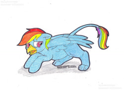 Size: 1099x801 | Tagged: safe, artist:artistnjc, imported from derpibooru, rainbow dash, griffon, pegasus, pony, beak, griffonized, paws, rainbow griffon, scared, solo, species swap, transformation