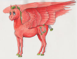 Size: 2000x1516 | Tagged: safe, artist:lady-limule, imported from derpibooru, oc, oc only, pegasus, pony, colored hooves, horseshoes, male, pegasus oc, reference sheet, smiling, solo, stallion, starry eyes, story included, traditional art, wingding eyes, wings