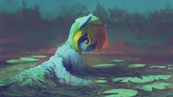 Size: 3267x1835 | Tagged: safe, artist:sharpieboss, imported from derpibooru, rainbow dash, pegasus, pony, female, fluffy, lilypad, looking at you, looking back, looking back at you, mare, seaweed, sky, smiling, solo, solo female, tree, water, wet, wet mane