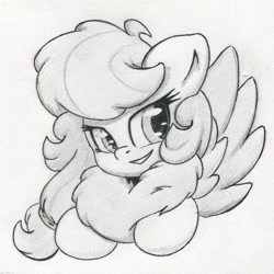 Size: 1496x1496 | Tagged: safe, artist:zemer, imported from derpibooru, oc, oc only, oc:feather belle, pony, bust, chest fluff, cute, fluffy, hair tie, monochrome, portrait, smiling, solo, traditional art