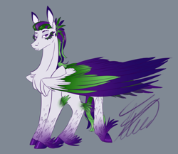 Size: 2300x2000 | Tagged: safe, artist:crystalcontemplator, imported from derpibooru, oc, oc only, pegasus, pony, chest fluff, colored hooves, feathered fetlocks, gray background, pegasus oc, signature, simple background, solo, unshorn fetlocks, wings