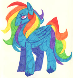 Size: 952x1012 | Tagged: safe, artist:0lijmazz, imported from derpibooru, rainbow dash, pegasus, pony, alternate design, female, mare, marker drawing, solo, traditional art