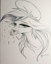 Size: 1080x1350 | Tagged: safe, artist:_quantumness_, artist:jonny_flex69, imported from derpibooru, oc, oc only, earth pony, pony, bedroom eyes, bust, earth pony oc, floppy ears, flower, makeup, monochrome, mouth hold, signature, solo, traditional art