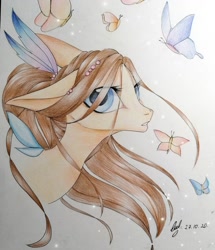 Size: 1080x1256 | Tagged: safe, artist:_quantumness_, artist:jonny_flex69, imported from derpibooru, oc, oc only, butterfly, earth pony, pony, bust, earth pony oc, floppy ears, signature, solo, traditional art
