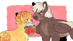 Size: 1280x724 | Tagged: safe, artist:mylittlegami, imported from derpibooru, dumbbell, feather bangs, earth pony, pegasus, pony, blushing, bouquet, crack shipping, dumbbangs, flower, gay, looking at you, male, missing cutie mark, mouth hold, rose, shipping, size difference, stallion