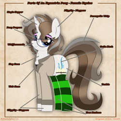 Size: 5000x5000 | Tagged: safe, artist:pokemonfan111, imported from derpibooru, oc, oc only, pony, unicorn, clothes, cute, digital art, equine anatomy, socks, solo, striped socks