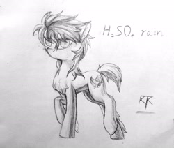 Size: 2572x2176 | Tagged: safe, artist:ktk's sky, imported from derpibooru, oc, oc only, oc:h2so4 rain, earth pony, pony, black and white, grayscale, male, monochrome, photo, solo