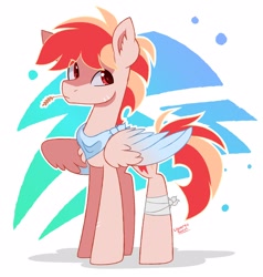 Size: 2000x2100 | Tagged: safe, artist:liquorice_sweet, imported from derpibooru, oc, oc only, oc:red thunder, pegasus, pony, abstract background, bandage, solo