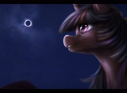 Size: 2400x1750 | Tagged: safe, artist:ventious, imported from derpibooru, twilight sparkle, alicorn, pony, chromatic aberration, eclipse, irl, low angle, mixed media, photo, selfie, solar eclipse, solo, twilight sparkle (alicorn)