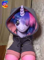 Size: 2257x3072 | Tagged: safe, artist:1stastrastudio, imported from derpibooru, twilight sparkle, pony, clothes, hoodie, irl, photo, plushie, solo