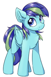 Size: 1200x1800 | Tagged: safe, artist:ravistdash, derpibooru exclusive, imported from derpibooru, oc, oc only, oc:rainbowsine finn, pegasus, pony, derpibooru community collaboration, 2021 community collab, simple background, smiling, solo, standing, transparent background