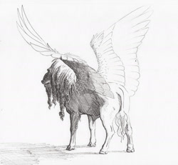 Size: 2000x1849 | Tagged: safe, artist:lady-limule, imported from derpibooru, oc, oc only, original species, pegasus, pony, grayscale, inktober 2017, male, monochrome, pegasus oc, solo, stallion, traditional art, wings