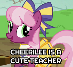 Size: 1024x945 | Tagged: safe, edit, edited screencap, imported from derpibooru, screencap, cheerilee, earth pony, pony, captain obvious, caption, cheeribetes, cheerileeder, cheerleader, cheerleader outfit, clothes, cute, female, image macro, mare, solo, text, truth