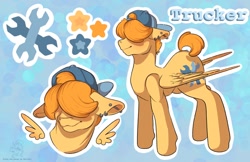 Size: 1122x726 | Tagged: safe, artist:roseandcompany, imported from derpibooru, oc, oc:trucker, pegasus, backwards hat, cutie mark, piercing, reference sheet